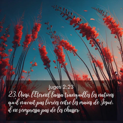 Segond21 Juges  ; image nature: image avec le verset biblique :Ainsi, l&#039;Eternel laissa tranquilles les nations qu&#039;il n&#039;avait pas livrées entre les mains de Josué, il ne s&#039;empressa pas de les chasser. ;  ; 2:23