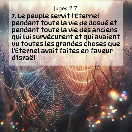 Segond21 Juges  ; image nature: image avec le verset biblique :Le peuple servit l&#039;Eternel pendant toute la vie de Josué et pendant toute la vie des anciens qui lui survécurent et qui avaient vu toutes les grandes choses que l&#039;Eternel avait faites en faveur d&#039;Israël. ;  ; 2:7