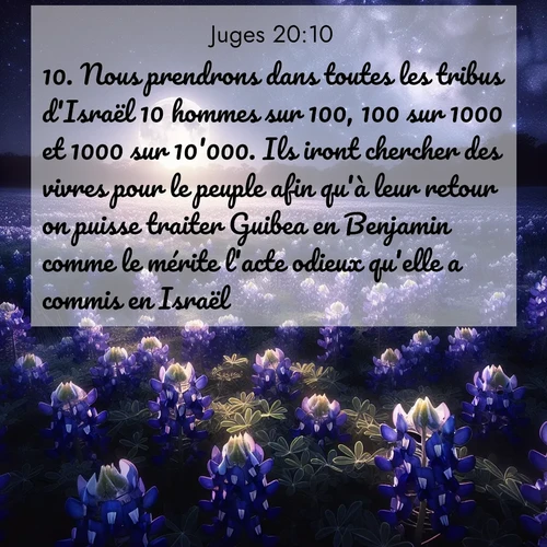 Segond21 Juges  ; image nature: image avec le verset biblique :Nous prendrons dans toutes les tribus d&#039;Israël 10 hommes sur 100, 100 sur 1000 et 1000 sur 10&#039;000. Ils iront chercher des vivres pour le peuple afin qu&#039;à leur retour on puisse traiter Guibea en Benjamin comme le mérite l&#039;acte odieux qu&#039;elle a commis en Israël.» ;  ; 20:10