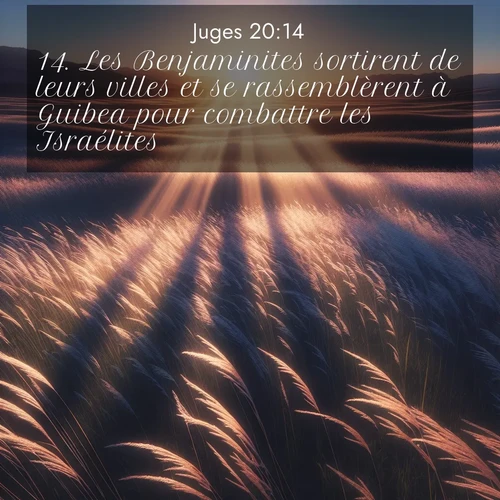 Segond21 Juges  ; image nature: image avec le verset biblique :Les Benjaminites sortirent de leurs villes et se rassemblèrent à Guibea pour combattre les Israélites. ;  ; 20:14