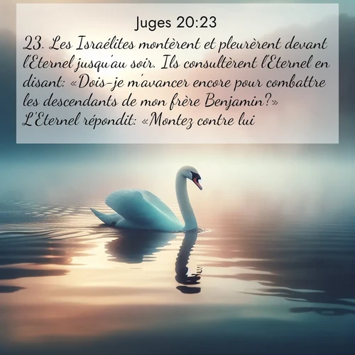 Segond21 Juges  ; image nature: image avec le verset biblique :Les Israélites montèrent et pleurèrent devant l&#039;Eternel jusqu&#039;au soir. Ils consultèrent l&#039;Eternel en disant: «Dois-je m&#039;avancer encore pour combattre les descendants de mon frère Benjamin?» L&#039;Eternel répondit: «Montez contre lui.» ;  ; 20:23