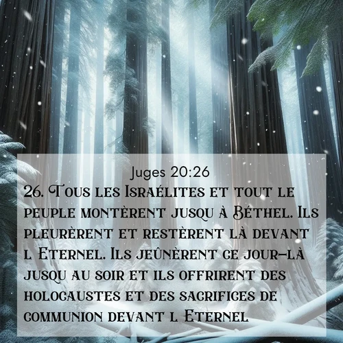 Segond21 Juges  ; image nature: image avec le verset biblique :Tous les Israélites et tout le peuple montèrent jusqu&#039;à Béthel. Ils pleurèrent et restèrent là devant l&#039;Eternel. Ils jeûnèrent ce jour-là jusqu&#039;au soir et ils offrirent des holocaustes et des sacrifices de communion devant l&#039;Eternel. ;  ; 20:26