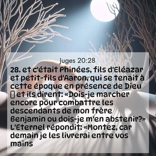 Segond21 Juges  ; image nature: image avec le verset biblique :et c&#039;était Phinées, fils d&#039;Eléazar et petit-fils d&#039;Aaron, qui se tenait à cette époque en présence de Dieu  et ils dirent: «Dois-je marcher encore pour combattre les descendants de mon frère Benjamin ou dois-je m&#039;en abstenir?» L&#039;Eternel répondit: «Montez, car demain je les livrerai entre vos mains.» ;  ; 20:28