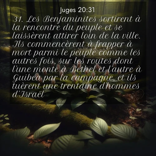 Segond21 Juges  ; image nature: image avec le verset biblique :Les Benjaminites sortirent à la rencontre du peuple et se laissèrent attirer loin de la ville. Ils commencèrent à frapper à mort parmi le peuple comme les autres fois, sur les routes dont l&#039;une monte à Béthel et l&#039;autre à Guibea par la campagne, et ils tuèrent une trentaine d&#039;hommes d&#039;Israël. ;  ; 20:31