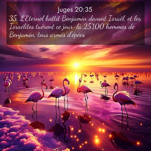 Segond21 Juges  ; image nature: image avec le verset biblique :L&#039;Eternel battit Benjamin devant Israël, et les Israélites tuèrent ce jour-là 25&#039;100 hommes de Benjamin, tous armés d&#039;épées. ;  ; 20:35
