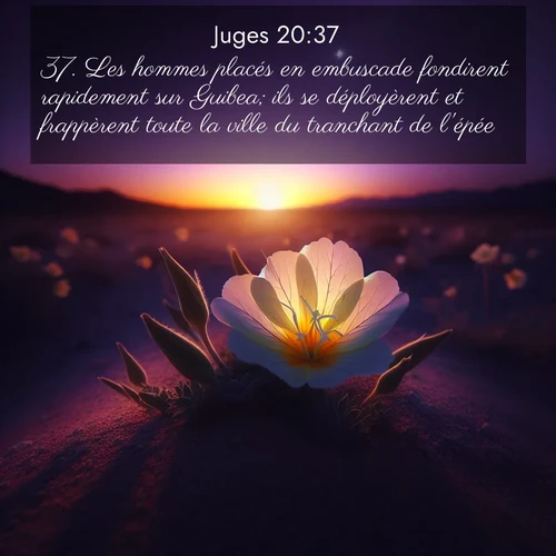 Segond21 Juges  ; image nature: image avec le verset biblique :Les hommes placés en embuscade fondirent rapidement sur Guibea; ils se déployèrent et frappèrent toute la ville du tranchant de l&#039;épée. ;  ; 20:37
