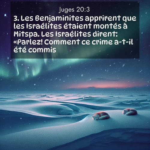 Segond21 Juges  ; image nature: image avec le verset biblique :Les Benjaminites apprirent que les Israélites étaient montés à Mitspa. Les Israélites dirent: «Parlez! Comment ce crime a-t-il été commis?» ;  ; 20:3