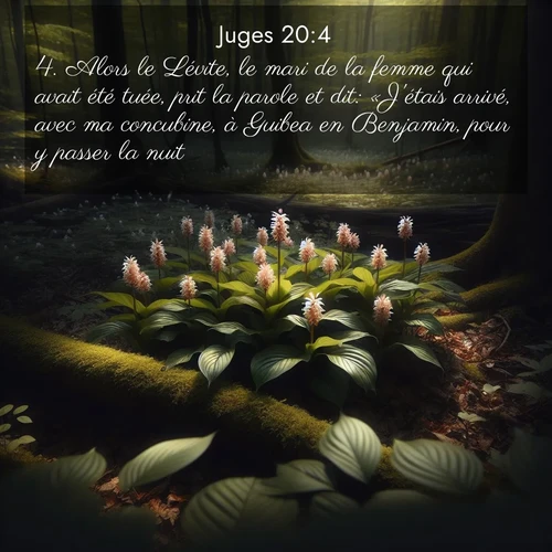 Segond21 Juges  ; image nature: image avec le verset biblique :Alors le Lévite, le mari de la femme qui avait été tuée, prit la parole et dit: «J&#039;étais arrivé, avec ma concubine, à Guibea en Benjamin, pour y passer la nuit. ;  ; 20:4