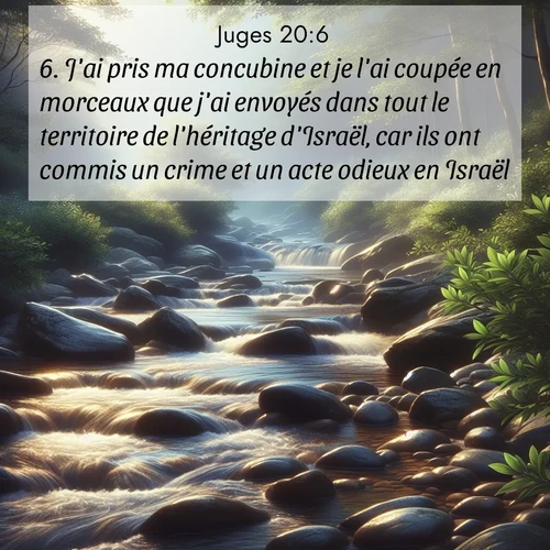 Segond21 Juges  ; image nature: image avec le verset biblique :J&#039;ai pris ma concubine et je l&#039;ai coupée en morceaux que j&#039;ai envoyés dans tout le territoire de l&#039;héritage d&#039;Israël, car ils ont commis un crime et un acte odieux en Israël. ;  ; 20:6