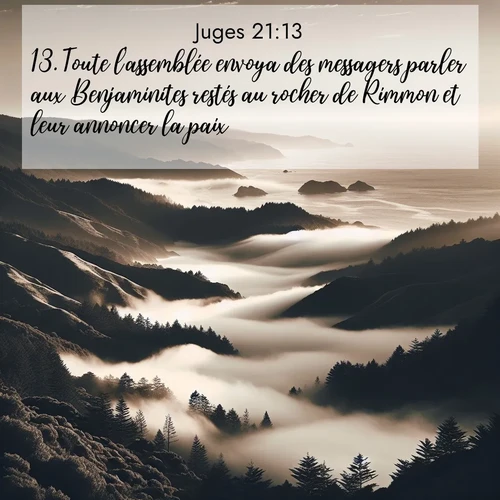 Segond21 Juges  ; image nature: image avec le verset biblique :Toute l&#039;assemblée envoya des messagers parler aux Benjaminites restés au rocher de Rimmon et leur annoncer la paix. ;  ; 21:13