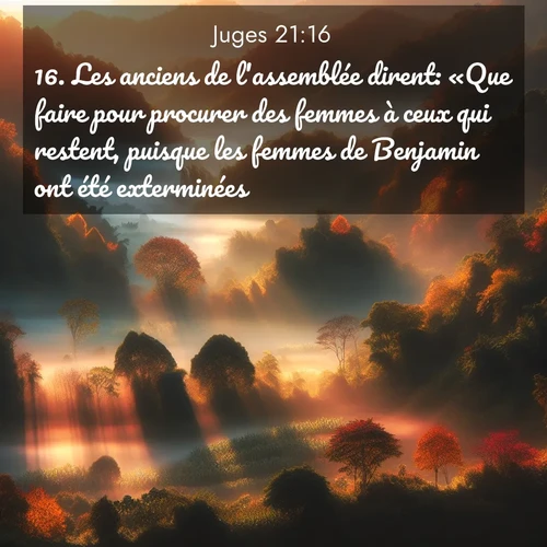 Segond21 Juges  ; image nature: image avec le verset biblique :Les anciens de l&#039;assemblée dirent: «Que faire pour procurer des femmes à ceux qui restent, puisque les femmes de Benjamin ont été exterminées?» ;  ; 21:16