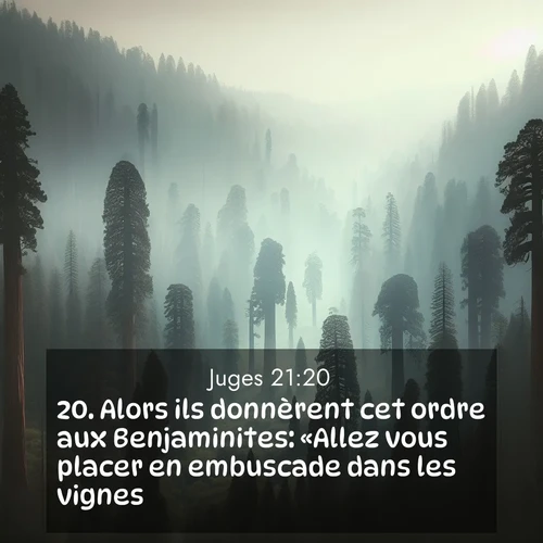 Segond21 Juges  ; image nature: image avec le verset biblique :Alors ils donnèrent cet ordre aux Benjaminites: «Allez vous placer en embuscade dans les vignes. ;  ; 21:20