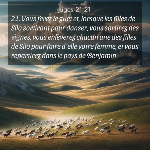 Segond21 Juges  ; image nature: image avec le verset biblique :Vous ferez le guet et, lorsque les filles de Silo sortiront pour danser, vous sortirez des vignes, vous enlèverez chacun une des filles de Silo pour faire d&#039;elle votre femme, et vous repartirez dans le pays de Benjamin. ;  ; 21:21