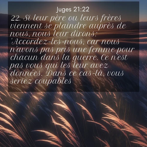 Segond21 Juges  ; image nature: image avec le verset biblique :Si leur père ou leurs frères viennent se plaindre auprès de nous, nous leur dirons: &#039;Accordez-les-nous, car nous n&#039;avons pas pris une femme pour chacun dans la guerre. Ce n&#039;est pas vous qui les leur avez données. Dans ce cas-là, vous seriez coupables.&#039;» ;  ; 21:22