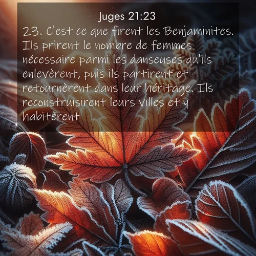 Segond21 Juges  ; image nature: image avec le verset biblique :C&#039;est ce que firent les Benjaminites. Ils prirent le nombre de femmes nécessaire parmi les danseuses qu&#039;ils enlevèrent, puis ils partirent et retournèrent dans leur héritage. Ils reconstruisirent leurs villes et y habitèrent. ;  ; 21:23