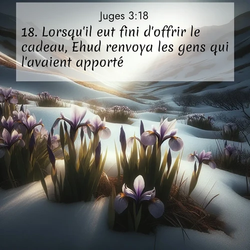 Segond21 Juges  ; image nature: image avec le verset biblique :Lorsqu&#039;il eut fini d&#039;offrir le cadeau, Ehud renvoya les gens qui l&#039;avaient apporté. ;  ; 3:18
