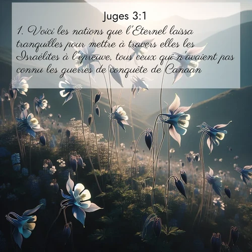 Segond21 Juges  ; image nature: image avec le verset biblique :Voici les nations que l&#039;Eternel laissa tranquilles pour mettre à travers elles les Israélites à l&#039;épreuve, tous ceux qui n&#039;avaient pas connu les guerres de conquête de Canaan. ;  ; 3:1