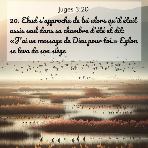 Segond21 Juges  ; image nature: image avec le verset biblique :Ehud s&#039;approcha de lui alors qu&#039;il était assis seul dans sa chambre d&#039;été et dit: «J&#039;ai un message de Dieu pour toi.» Eglon se leva de son siège. ;  ; 3:20