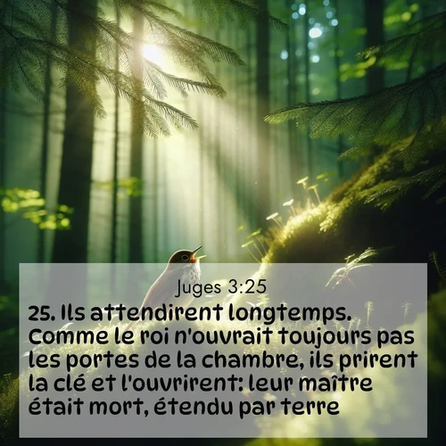 Segond21 Juges  ; image nature: image avec le verset biblique :Ils attendirent longtemps. Comme le roi n&#039;ouvrait toujours pas les portes de la chambre, ils prirent la clé et l&#039;ouvrirent: leur maître était mort, étendu par terre. ;  ; 3:25
