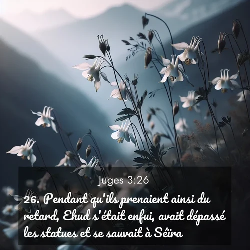 Segond21 Juges  ; image nature: image avec le verset biblique :Pendant qu&#039;ils prenaient ainsi du retard, Ehud s&#039;était enfui, avait dépassé les statues et se sauvait à Séïra. ;  ; 3:26
