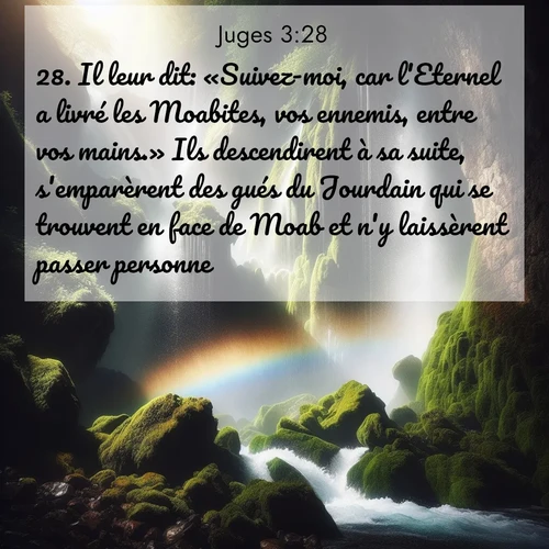 Segond21 Juges  ; image nature: image avec le verset biblique :Il leur dit: «Suivez-moi, car l&#039;Eternel a livré les Moabites, vos ennemis, entre vos mains.» Ils descendirent à sa suite, s&#039;emparèrent des gués du Jourdain qui se trouvent en face de Moab et n&#039;y laissèrent passer personne. ;  ; 3:28