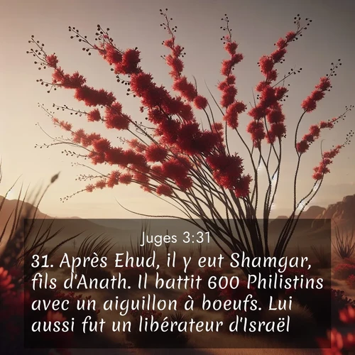 Segond21 Juges  ; image nature: image avec le verset biblique :Après Ehud, il y eut Shamgar, fils d&#039;Anath. Il battit 600 Philistins avec un aiguillon à boeufs. Lui aussi fut un libérateur d&#039;Israël. ;  ; 3:31