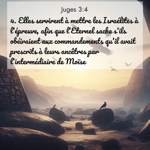 Segond21 Juges  ; image nature: image avec le verset biblique :Elles servirent à mettre les Israélites à l&#039;épreuve, afin que l&#039;Eternel sache s&#039;ils obéiraient aux commandements qu&#039;il avait prescrits à leurs ancêtres par l&#039;intermédiaire de Moïse. ;  ; 3:4