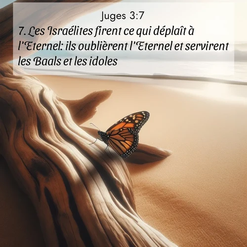 Segond21 Juges  ; image nature: image avec le verset biblique :Les Israélites firent ce qui déplaît à l&#039;Eternel: ils oublièrent l&#039;Eternel et servirent les Baals et les idoles. ;  ; 3:7
