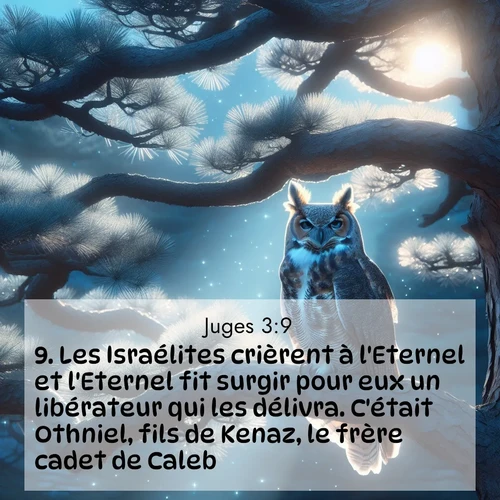 Segond21 Juges  ; image nature: image avec le verset biblique :Les Israélites crièrent à l&#039;Eternel et l&#039;Eternel fit surgir pour eux un libérateur qui les délivra. C&#039;était Othniel, fils de Kenaz, le frère cadet de Caleb. ;  ; 3:9