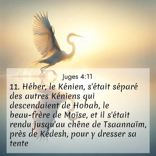 Segond21 Juges  ; image nature: image avec le verset biblique :Héber, le Kénien, s&#039;était séparé des autres Kéniens qui descendaient de Hobab, le beau-frère de Moïse, et il s&#039;était rendu jusqu&#039;au chêne de Tsaannaïm, près de Kédesh, pour y dresser sa tente. ;  ; 4:11