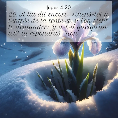 Segond21 Juges  ; image nature: image avec le verset biblique :Il lui dit encore: «Tiens-toi à l&#039;entrée de la tente et, si l&#039;on vient te demander: &#039;Y a-t-il quelqu&#039;un ici?&#039; tu répondras: &#039;Non.&#039;» ;  ; 4:20