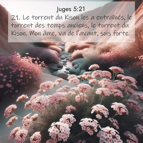 Segond21 Juges  ; image nature: image avec le verset biblique :Le torrent du Kison les a entraînés, le torrent des temps anciens, le torrent du Kison. Mon âme, va de l&#039;avant, sois forte! ;  ; 5:21