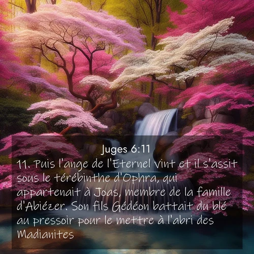 Segond21 Juges  ; image nature: image avec le verset biblique :Puis l&#039;ange de l&#039;Eternel vint et il s&#039;assit sous le térébinthe d&#039;Ophra, qui appartenait à Joas, membre de la famille d&#039;Abiézer. Son fils Gédéon battait du blé au pressoir pour le mettre à l&#039;abri des Madianites. ;  ; 6:11