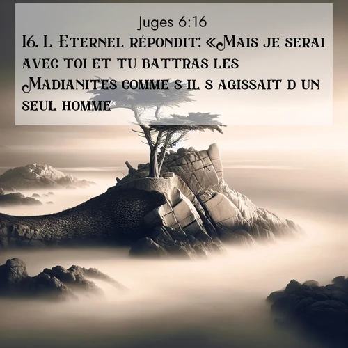Segond21 Juges  ; image nature: image avec le verset biblique :L&#039;Eternel répondit: «Mais je serai avec toi et tu battras les Madianites comme s&#039;il s&#039;agissait d&#039;un seul homme.» ;  ; 6:16