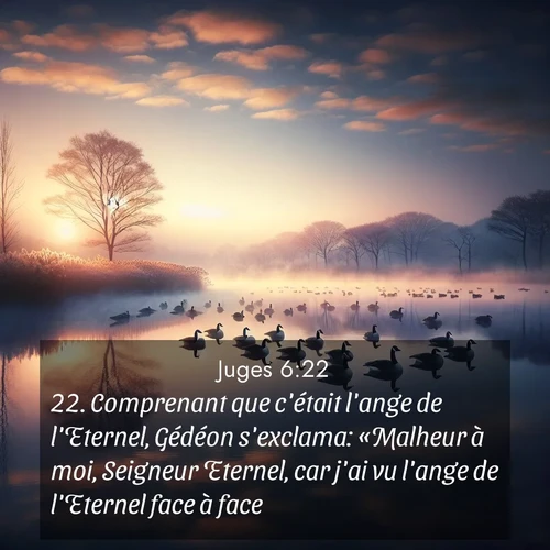 Segond21 Juges  ; image nature: image avec le verset biblique :Comprenant que c&#039;était l&#039;ange de l&#039;Eternel, Gédéon s&#039;exclama: «Malheur à moi, Seigneur Eternel, car j&#039;ai vu l&#039;ange de l&#039;Eternel face à face.» ;  ; 6:22