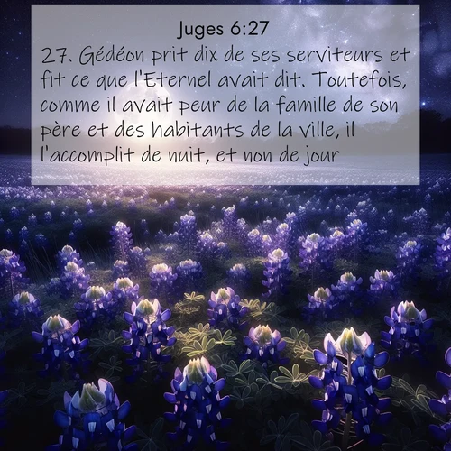 Segond21 Juges  ; image nature: image avec le verset biblique :Gédéon prit dix de ses serviteurs et fit ce que l&#039;Eternel avait dit. Toutefois, comme il avait peur de la famille de son père et des habitants de la ville, il l&#039;accomplit de nuit, et non de jour. ;  ; 6:27