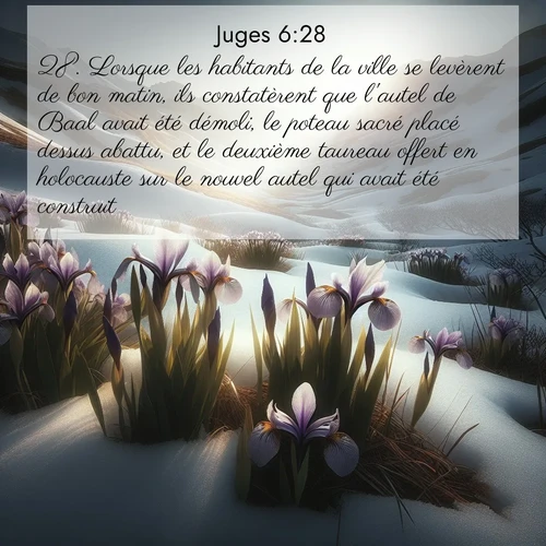 Segond21 Juges  ; image nature: image avec le verset biblique :Lorsque les habitants de la ville se levèrent de bon matin, ils constatèrent que l&#039;autel de Baal avait été démoli, le poteau sacré placé dessus abattu, et le deuxième taureau offert en holocauste sur le nouvel autel qui avait été construit. ;  ; 6:28