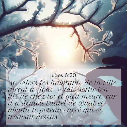 Segond21 Juges  ; image nature: image avec le verset biblique :Alors les habitants de la ville dirent à Joas: «Fais sortir ton fils de chez toi et qu&#039;il meure, car il a démoli l&#039;autel de Baal et abattu le poteau sacré qui se trouvait dessus.» ;  ; 6:30