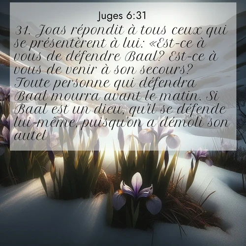 Segond21 Juges  ; image nature: image avec le verset biblique :Joas répondit à tous ceux qui se présentèrent à lui: «Est-ce à vous de défendre Baal? Est-ce à vous de venir à son secours? Toute personne qui défendra Baal mourra avant le matin. Si Baal est un dieu, qu&#039;il se défende lui-même, puisqu&#039;on a démoli son autel.» ;  ; 6:31