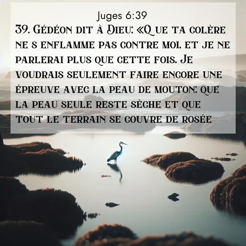 Segond21 Juges  ; image nature: image avec le verset biblique :Gédéon dit à Dieu: «Que ta colère ne s&#039;enflamme pas contre moi, et je ne parlerai plus que cette fois. Je voudrais seulement faire encore une épreuve avec la peau de mouton: que la peau seule reste sèche et que tout le terrain se couvre de rosée.» ;  ; 6:39