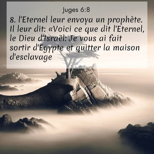 Segond21 Juges  ; image nature: image avec le verset biblique :l&#039;Eternel leur envoya un prophète. Il leur dit: «Voici ce que dit l&#039;Eternel, le Dieu d&#039;Israël: Je vous ai fait sortir d&#039;Egypte et quitter la maison d&#039;esclavage. ;  ; 6:8