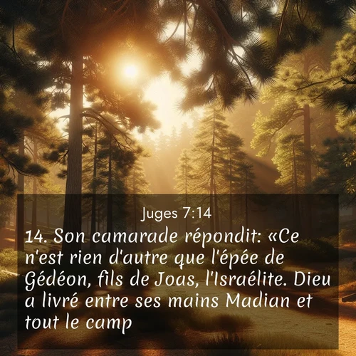 Segond21 Juges  ; image nature: image avec le verset biblique :Son camarade répondit: «Ce n&#039;est rien d&#039;autre que l&#039;épée de Gédéon, fils de Joas, l&#039;Israélite. Dieu a livré entre ses mains Madian et tout le camp.» ;  ; 7:14