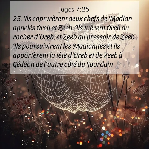 Segond21 Juges  ; image nature: image avec le verset biblique :Ils capturèrent deux chefs de Madian appelés Oreb et Zeeb. Ils tuèrent Oreb au rocher d&#039;Oreb, et Zeeb au pressoir de Zeeb. Ils poursuivirent les Madianites et ils apportèrent la tête d&#039;Oreb et de Zeeb à Gédéon de l&#039;autre côté du Jourdain. ;  ; 7:25