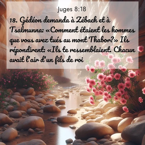 Segond21 Juges  ; image nature: image avec le verset biblique :Gédéon demanda à Zébach et à Tsalmunna: «Comment étaient les hommes que vous avez tués au mont Thabor?» Ils répondirent: «Ils te ressemblaient. Chacun avait l&#039;air d&#039;un fils de roi.» ;  ; 8:18