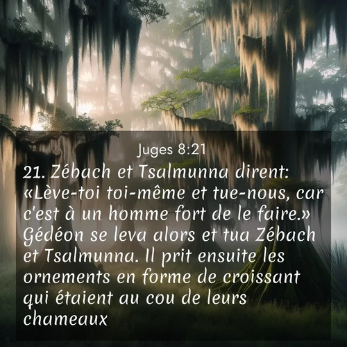 Segond21 Juges  ; image nature: image avec le verset biblique :Zébach et Tsalmunna dirent: «Lève-toi toi-même et tue-nous, car c&#039;est à un homme fort de le faire.» Gédéon se leva alors et tua Zébach et Tsalmunna. Il prit ensuite les ornements en forme de croissant qui étaient au cou de leurs chameaux. ;  ; 8:21