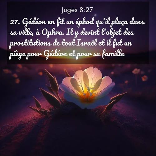 Segond21 Juges  ; image nature: image avec le verset biblique :Gédéon en fit un éphod qu&#039;il plaça dans sa ville, à Ophra. Il y devint l&#039;objet des prostitutions de tout Israël et il fut un piège pour Gédéon et pour sa famille. ;  ; 8:27