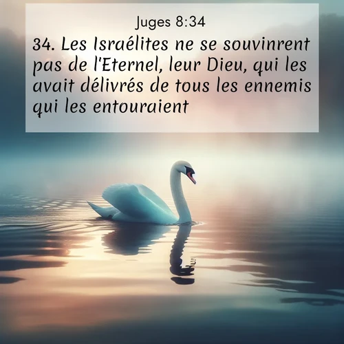 Segond21 Juges  ; image nature: image avec le verset biblique :Les Israélites ne se souvinrent pas de l&#039;Eternel, leur Dieu, qui les avait délivrés de tous les ennemis qui les entouraient. ;  ; 8:34