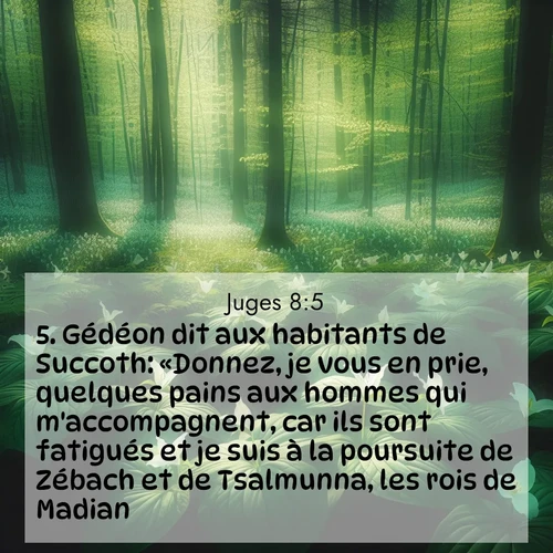 Segond21 Juges  ; image nature: image avec le verset biblique :Gédéon dit aux habitants de Succoth: «Donnez, je vous en prie, quelques pains aux hommes qui m&#039;accompagnent, car ils sont fatigués et je suis à la poursuite de Zébach et de Tsalmunna, les rois de Madian.» ;  ; 8:5