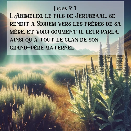 Segond21 Juges  ; image nature: image avec le verset biblique :Abimélec, le fils de Jerubbaal, se rendit à Sichem vers les frères de sa mère, et voici comment il leur parla, ainsi qu&#039;à tout le clan de son grand-père maternel: ;  ; 9:1