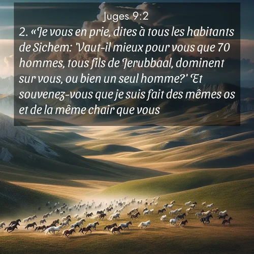 Segond21 Juges  ; image nature: image avec le verset biblique :«Je vous en prie, dites à tous les habitants de Sichem: &#039;Vaut-il mieux pour vous que 70 hommes, tous fils de Jerubbaal, dominent sur vous, ou bien un seul homme?&#039; Et souvenez-vous que je suis fait des mêmes os et de la même chair que vous.» ;  ; 9:2